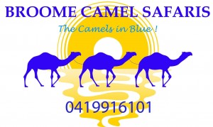Camel Pic